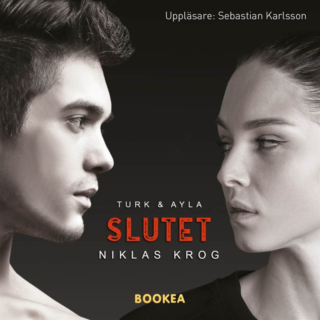 Omslag till ljudboken Turk & Ayla - Slutet av Niklas Krog